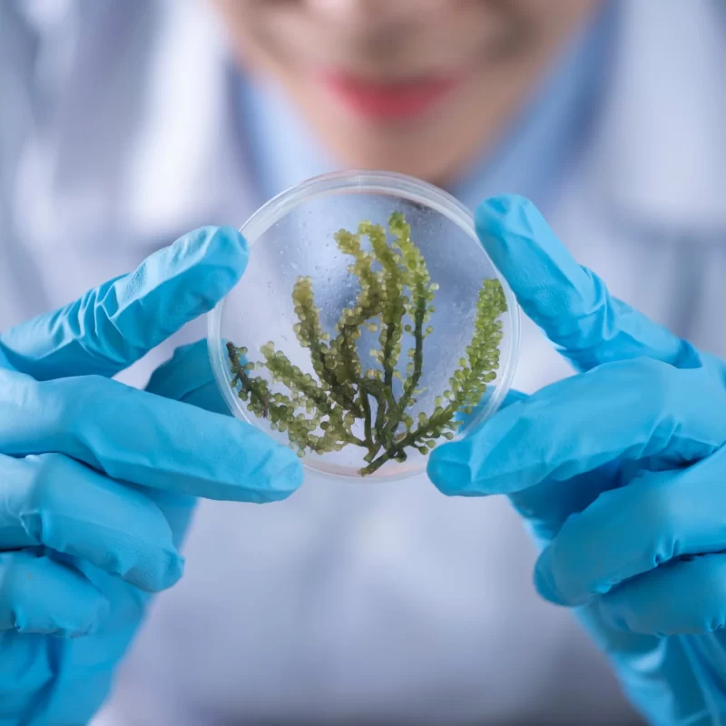 Biotecnologia